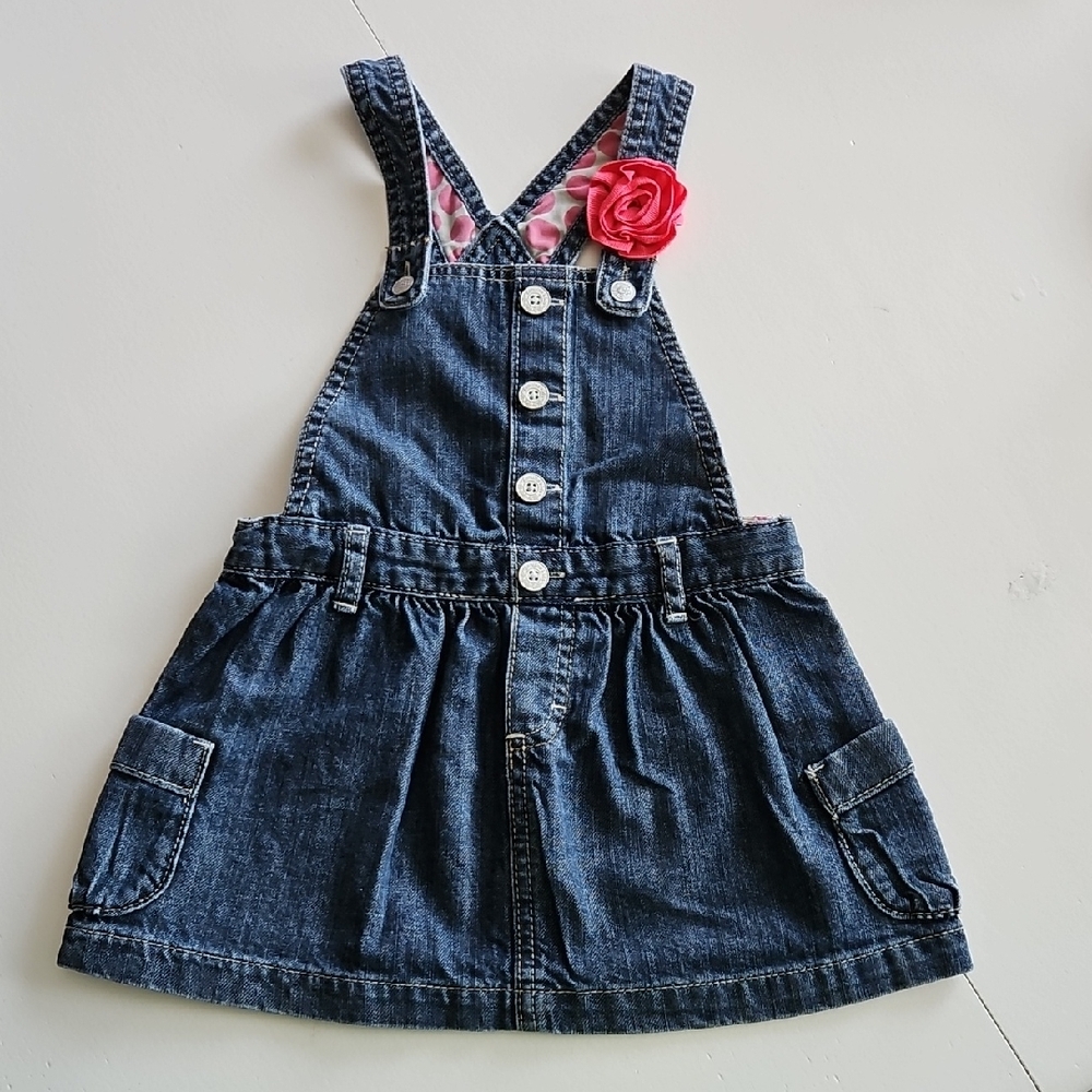 OshKosh B'gosh Blue and Pink Casual Dress